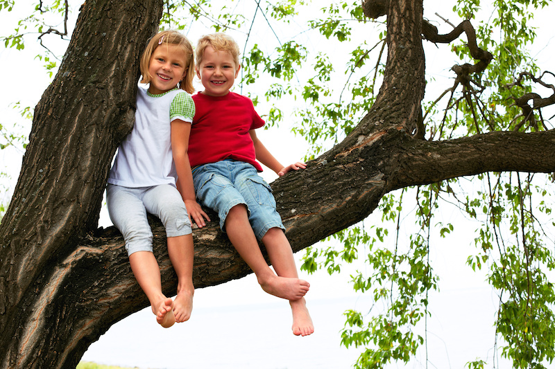 boy and girl sitting on a tree